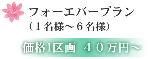 フォーエバープラン (1名様~6名様) 価格1区画 40万円~