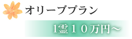 オリーブプラン 1霊10万円~