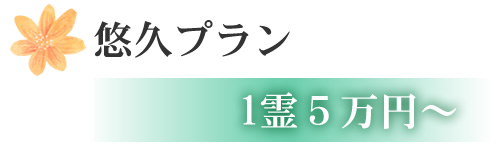 悠久プラン 1霊5万円~