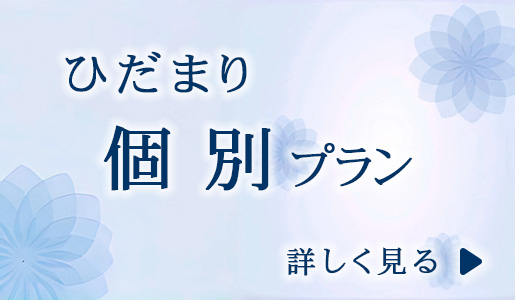 ひだまり　個別プラン