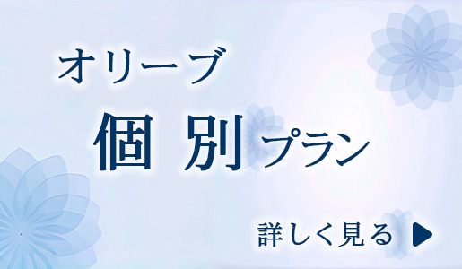 オリーブ　個別プラン