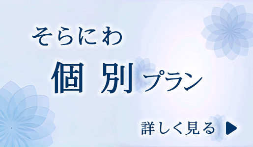 そらにわ　個別プラン