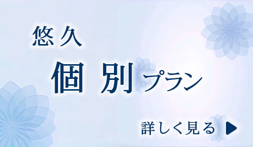 悠久　個別プラン