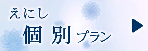 えにし　個別プラン