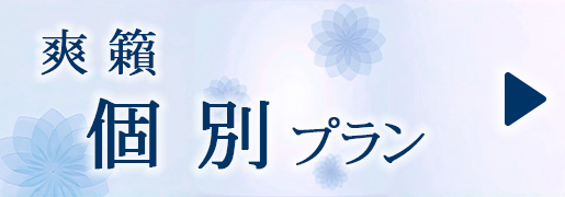爽籟　個別プラン