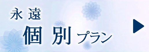 永遠　個別プラン