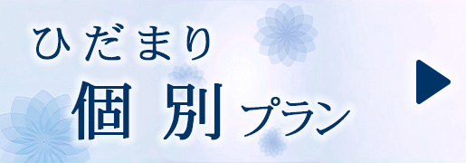 ひだまり　個別プラン