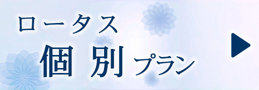 ロータス　個別プラン