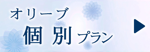 オリーブ　個別プラン