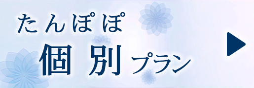 ひだまり　個別プラン