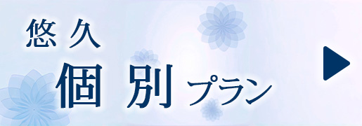 悠久　個別プラン