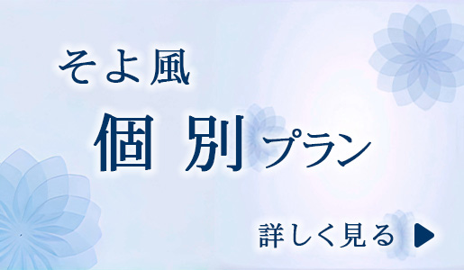 そよ風　個別プラン