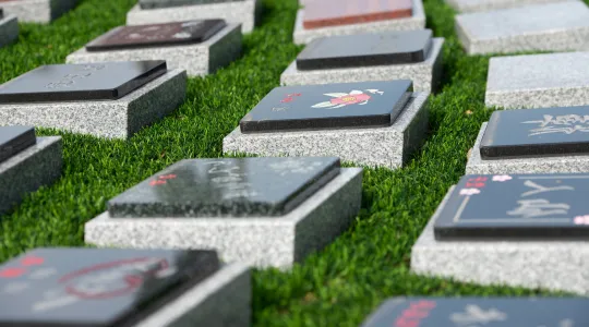 ゴダイの樹木葬個別プランのお墓イメージ