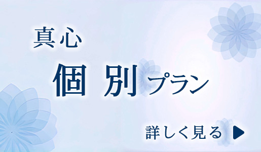 真心　個別プラン