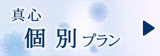 真心　個別プラン