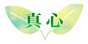 真心