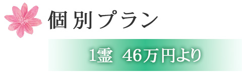 個別プラン 1霊46万円より